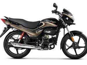 hero passion pro price BLACK BROWN STRIPES colours white background
